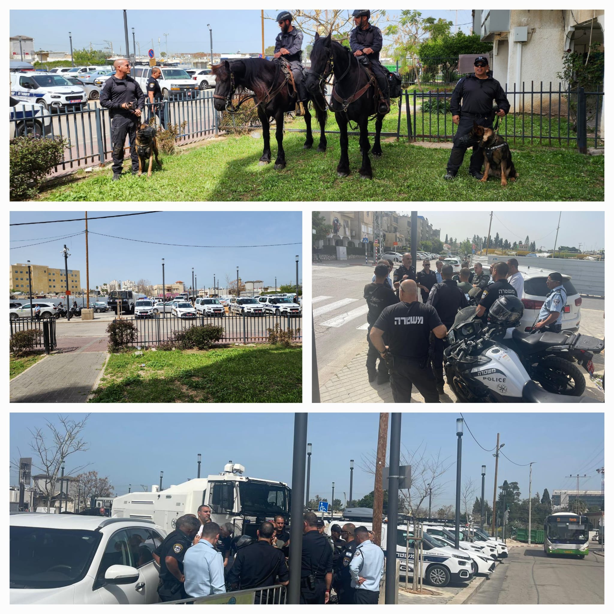 WhatsApp Image 2023-03-24 at 10.59.01.jpg